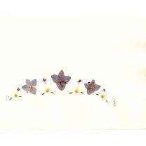 Blütenkarte - Klappkarte mit Einlage